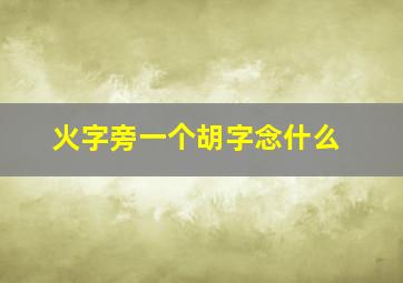 火字旁一个胡字念什么