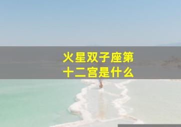 火星双子座第十二宫是什么