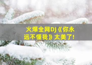 火爆全网DJ《你永远不懂我》太美了!