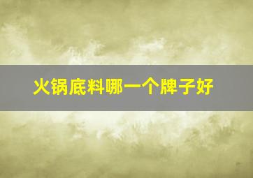 火锅底料哪一个牌子好