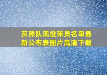 灰熊队现役球员名单最新公布表图片高清下载