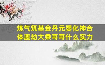 炼气筑基金丹元婴化神合体渡劫大乘哥哥什么实力