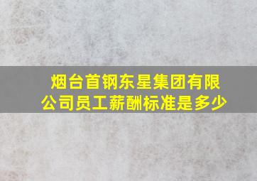 烟台首钢东星集团有限公司员工薪酬标准是多少