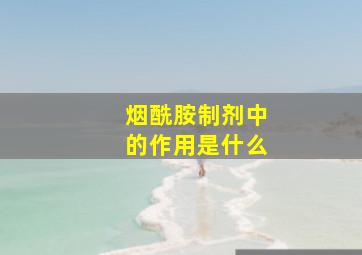 烟酰胺制剂中的作用是什么