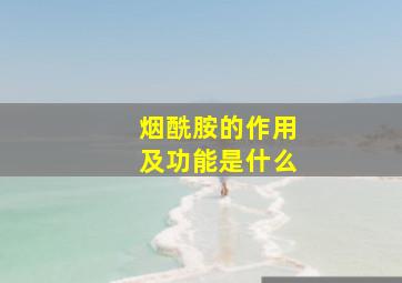 烟酰胺的作用及功能是什么