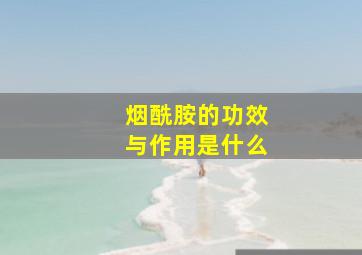 烟酰胺的功效与作用是什么