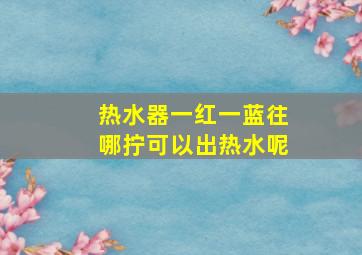 热水器一红一蓝往哪拧可以出热水呢