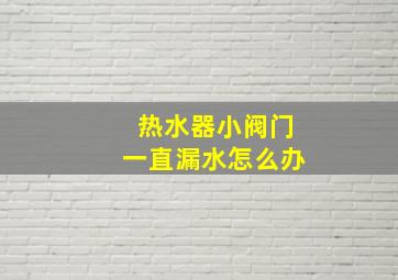 热水器小阀门一直漏水怎么办