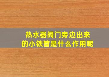 热水器阀门旁边出来的小铁管是什么作用呢