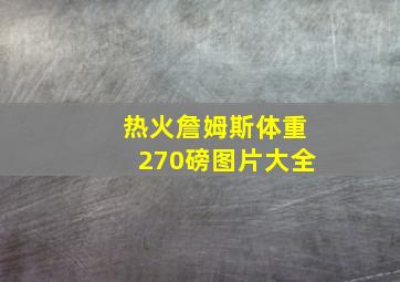 热火詹姆斯体重270磅图片大全