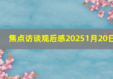 焦点访谈观后感20251月20日