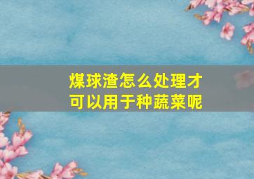 煤球渣怎么处理才可以用于种蔬菜呢