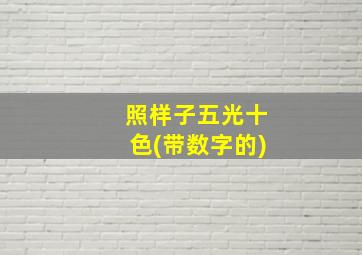 照样子五光十色(带数字的)