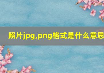 照片jpg,png格式是什么意思