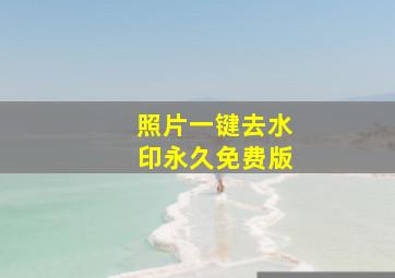 照片一键去水印永久免费版