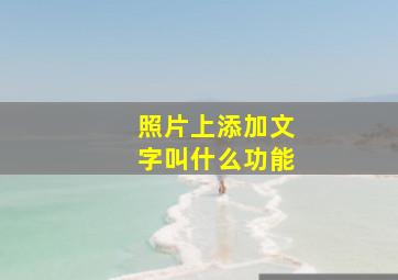 照片上添加文字叫什么功能