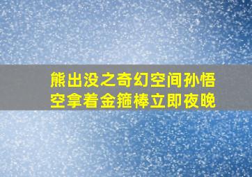 熊出没之奇幻空间孙悟空拿着金箍棒立即夜晚