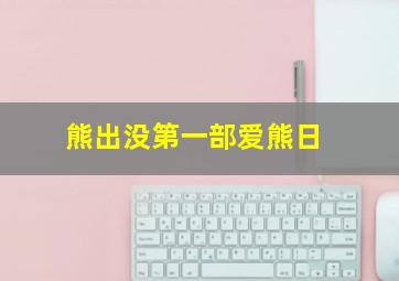 熊出没第一部爱熊日