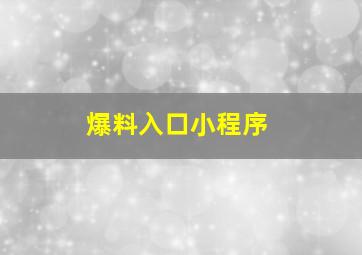 爆料入口小程序