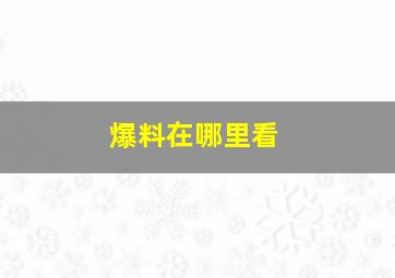 爆料在哪里看