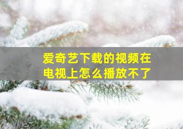 爱奇艺下载的视频在电视上怎么播放不了