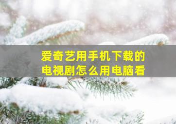 爱奇艺用手机下载的电视剧怎么用电脑看