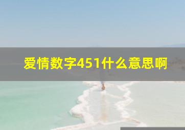 爱情数字451什么意思啊