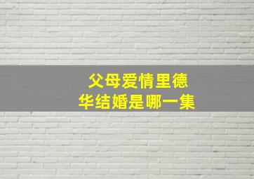 父母爱情里德华结婚是哪一集