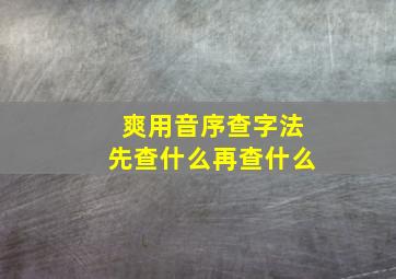 爽用音序查字法先查什么再查什么