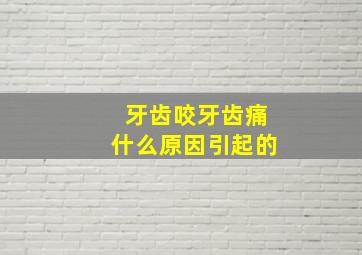 牙齿咬牙齿痛什么原因引起的