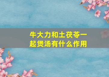 牛大力和土茯苓一起煲汤有什么作用