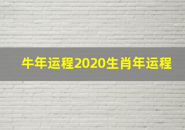 牛年运程2020生肖年运程