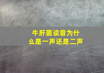 牛肝菌读音为什么是一声还是二声