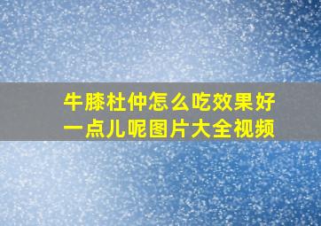 牛膝杜仲怎么吃效果好一点儿呢图片大全视频