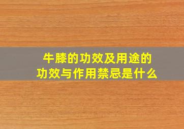 牛膝的功效及用途的功效与作用禁忌是什么