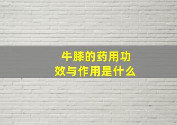 牛膝的药用功效与作用是什么