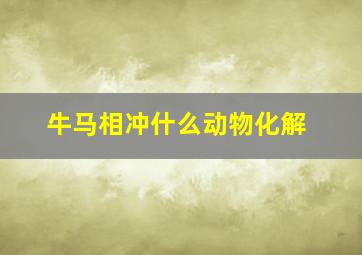 牛马相冲什么动物化解