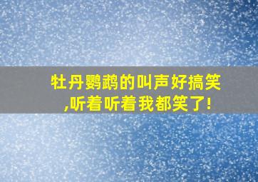 牡丹鹦鹉的叫声好搞笑,听着听着我都笑了!