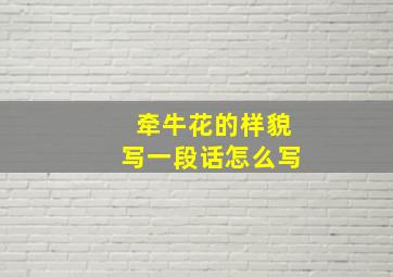 牵牛花的样貌写一段话怎么写