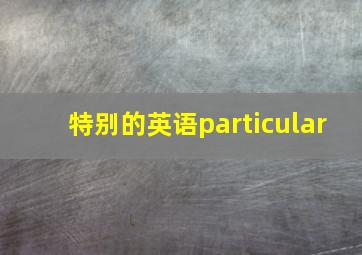 特别的英语particular