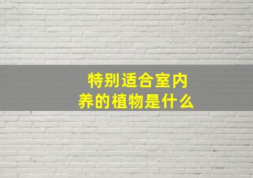 特别适合室内养的植物是什么