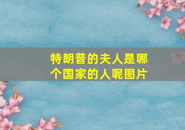 特朗普的夫人是哪个国家的人呢图片