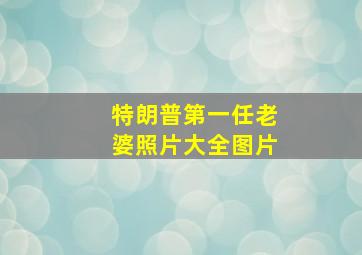 特朗普第一任老婆照片大全图片