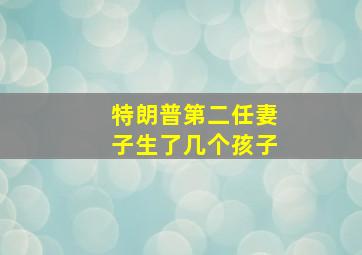 特朗普第二任妻子生了几个孩子