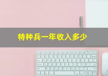 特种兵一年收入多少