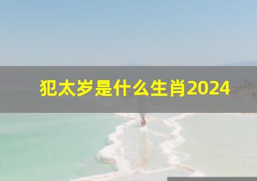 犯太岁是什么生肖2024