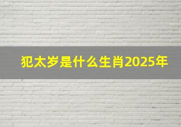 犯太岁是什么生肖2025年