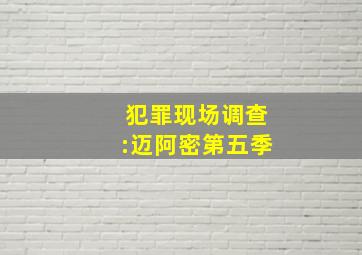 犯罪现场调查:迈阿密第五季