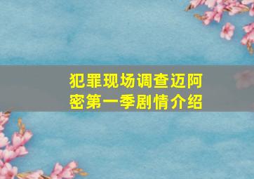 犯罪现场调查迈阿密第一季剧情介绍