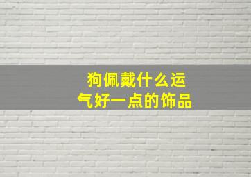 狗佩戴什么运气好一点的饰品